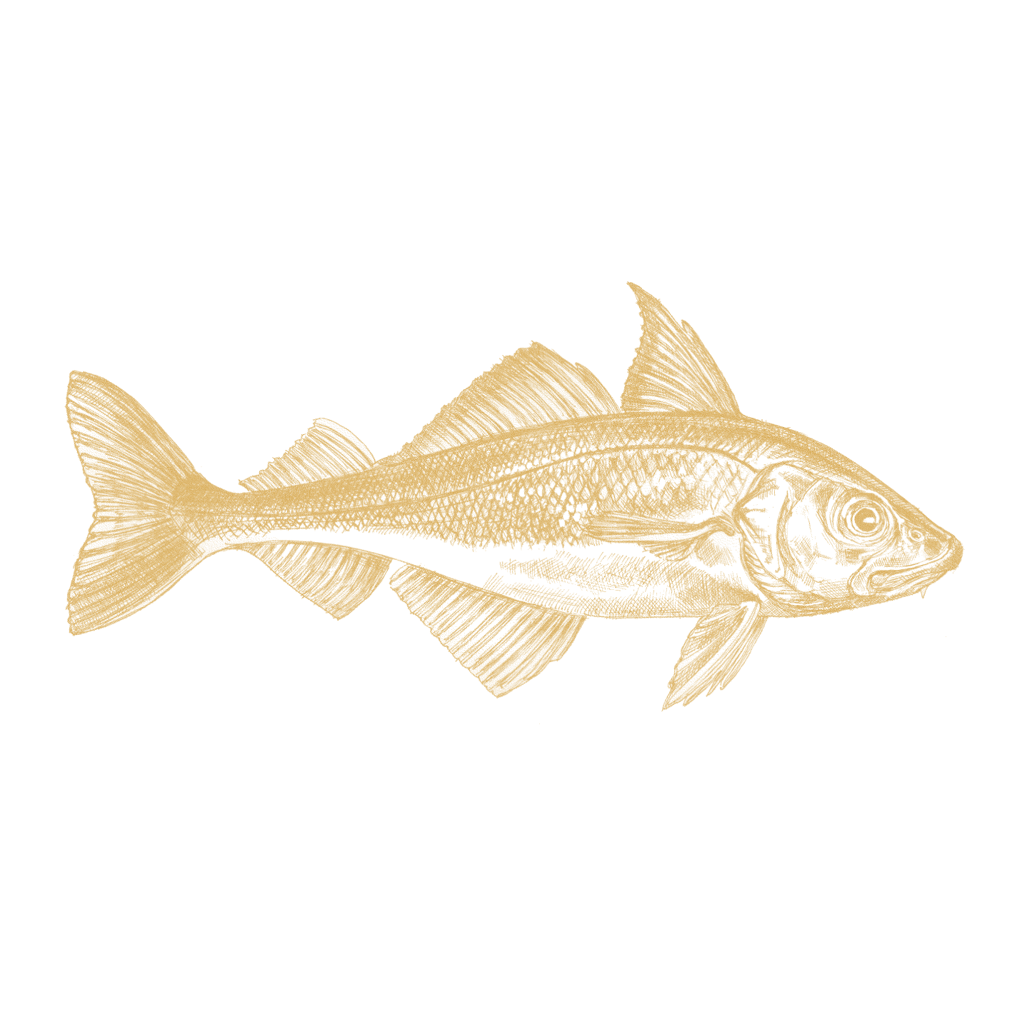 Kulmule