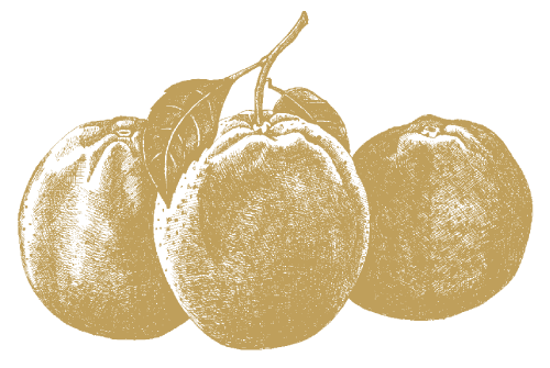Appelsin