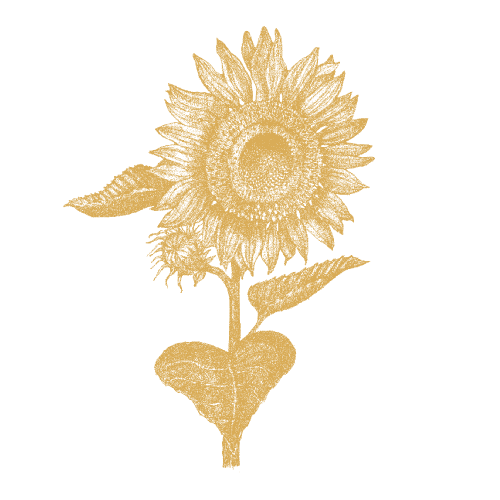 Sunflower oil