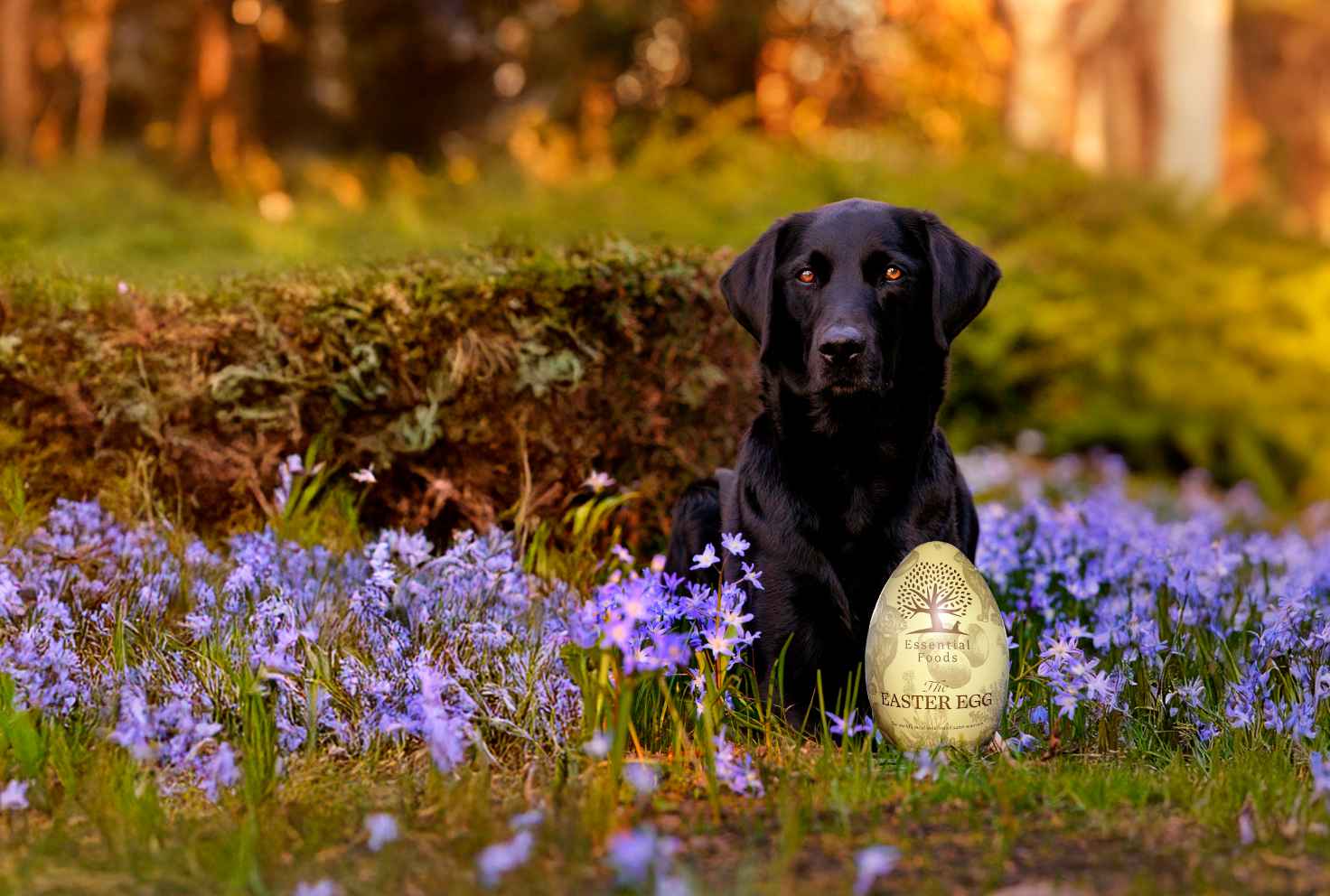 5 brilliant enrichment ideas