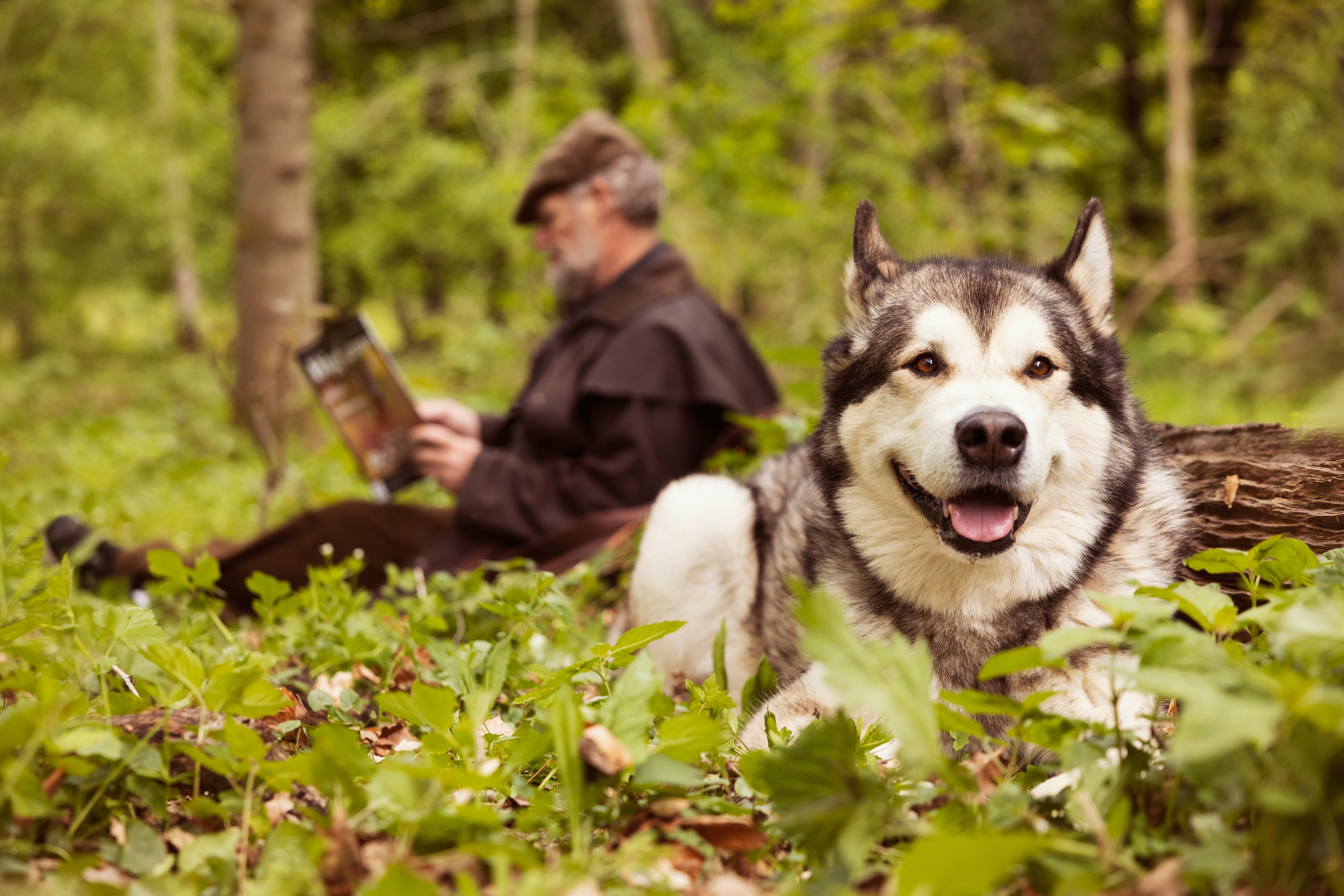 Best puppy food - Give your puppy the perfect start