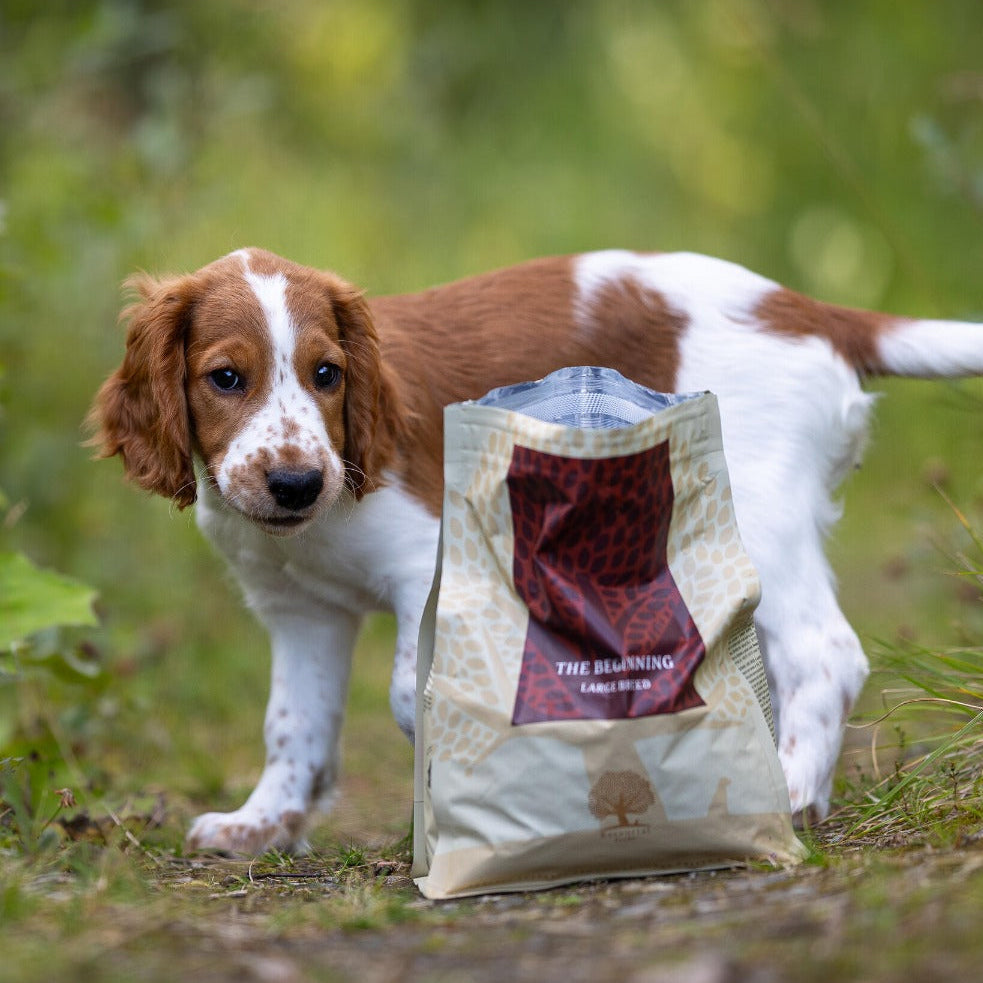The best start in life for your puppy