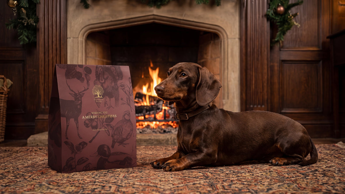ESSENTIALS CHRISTMAS COLLECTION