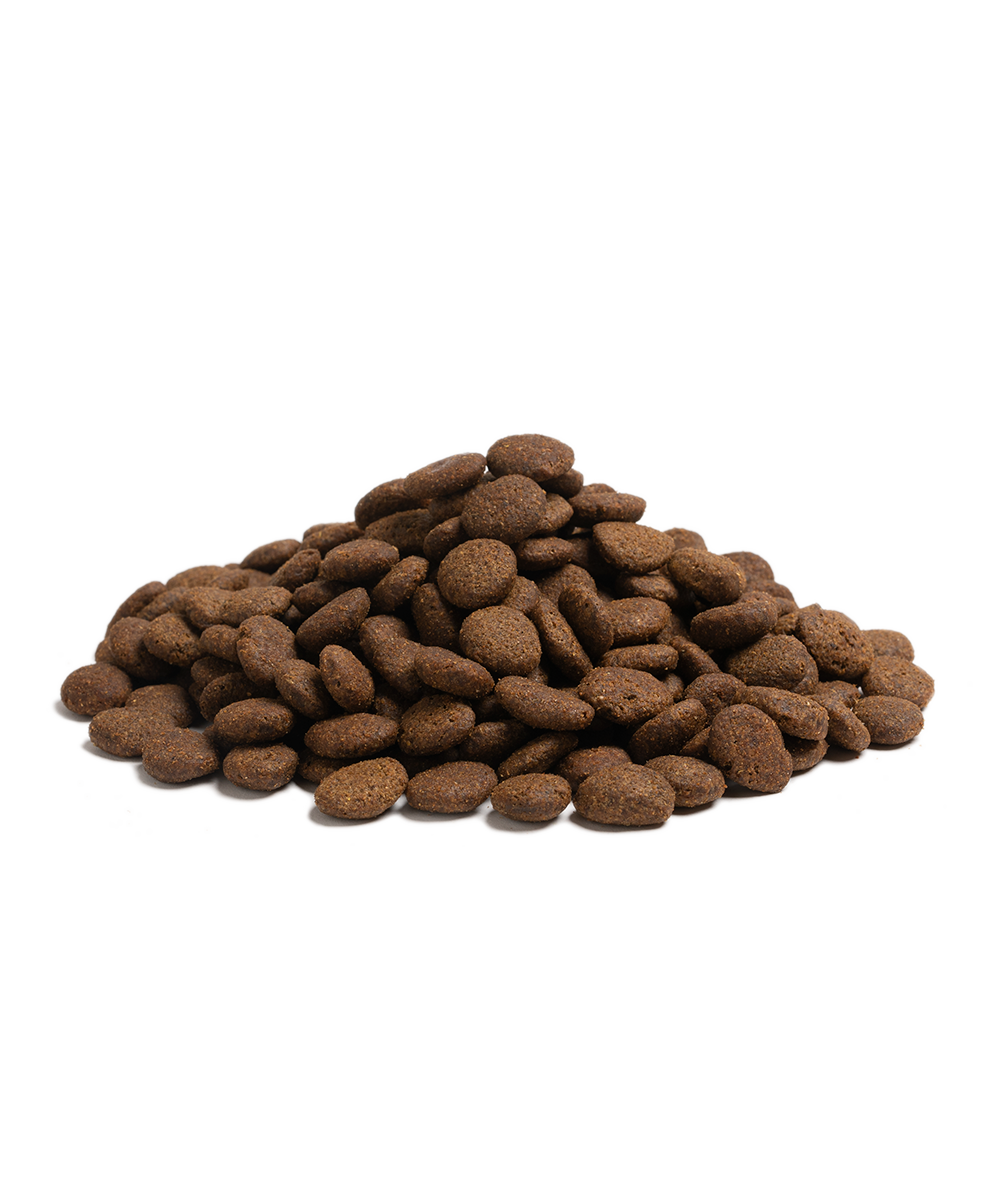 THE BEGINNING LARGE BREED, 2,5KG x 4