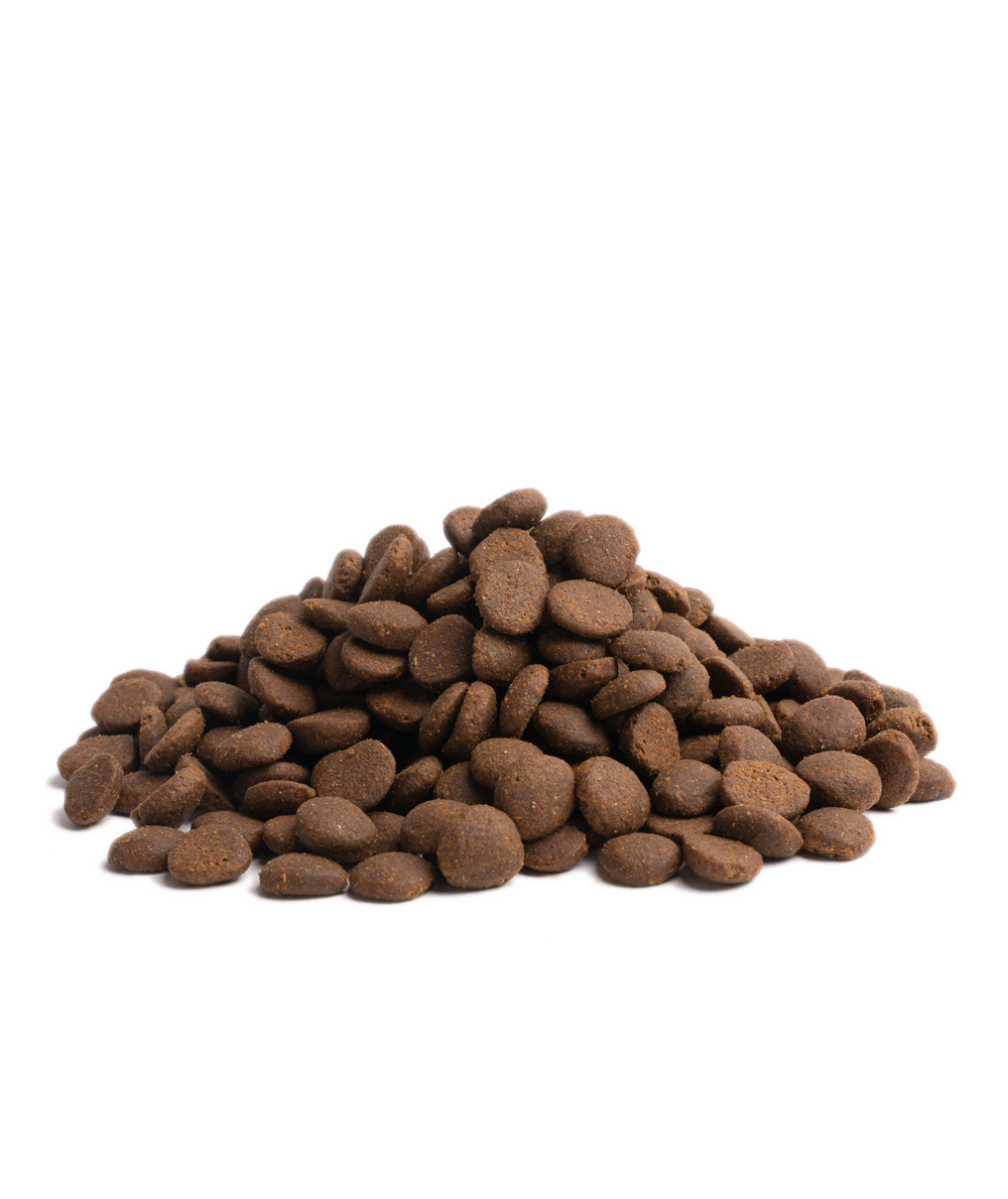 STAMINA, 10KG x 2