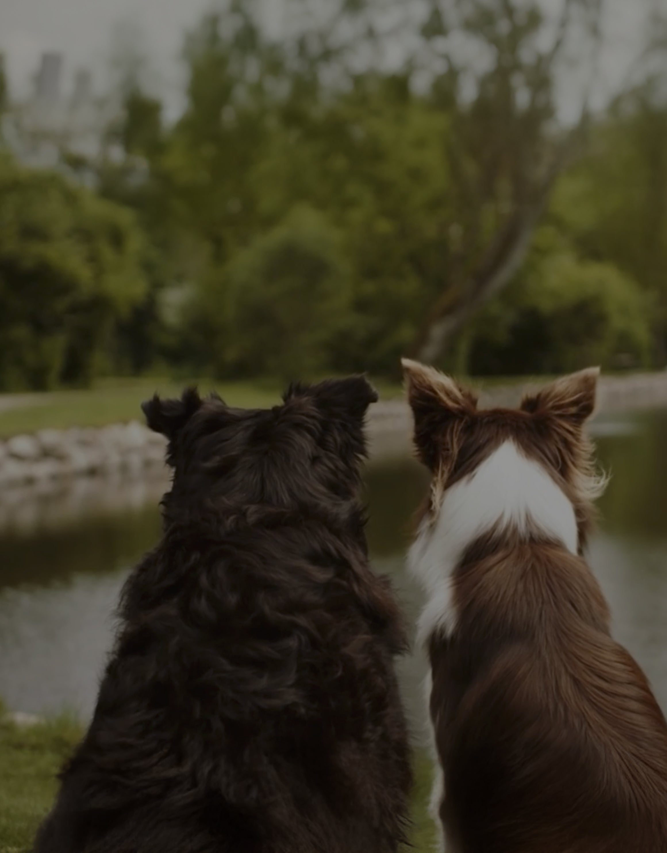 The Essentials Recommendation Programme