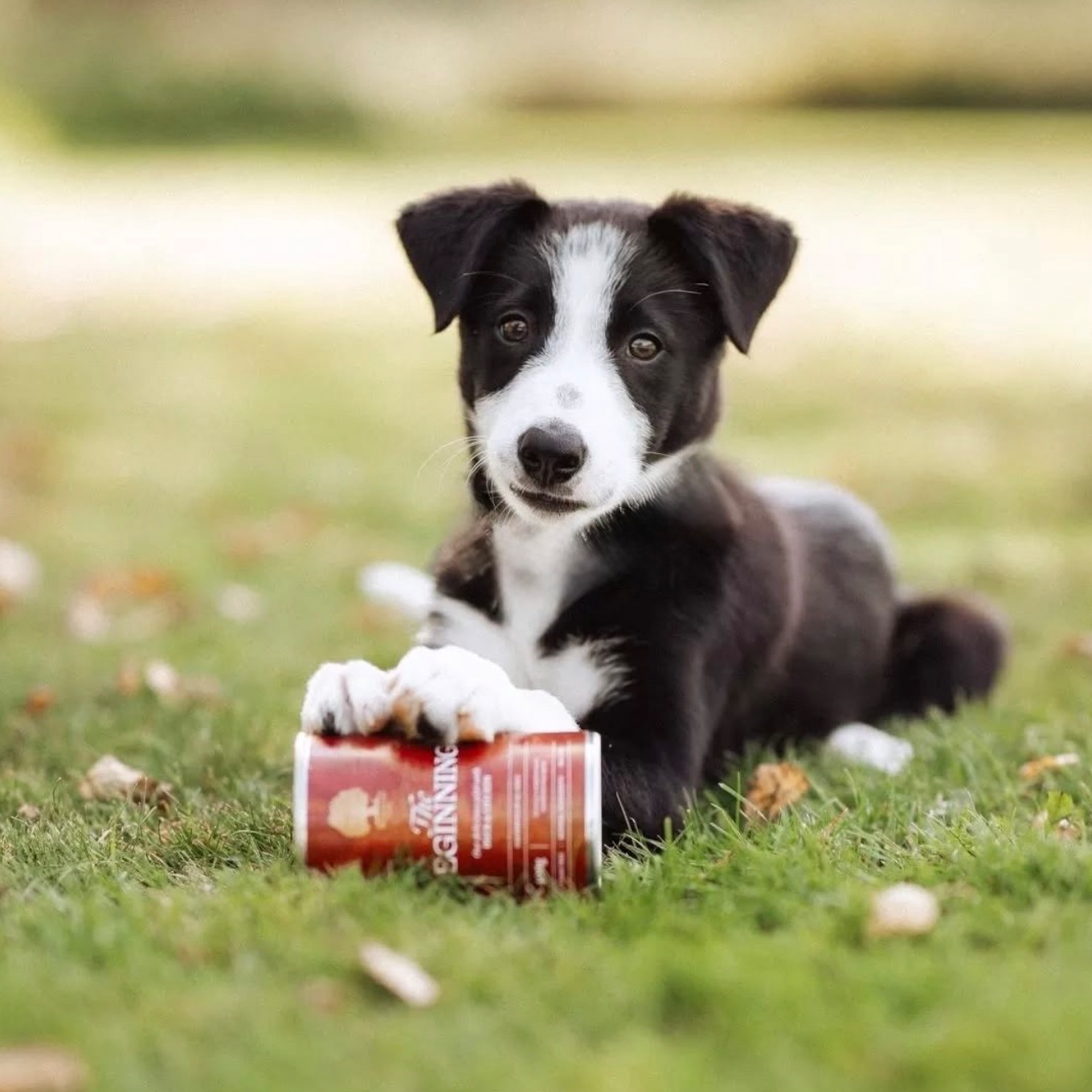 THE BEGINNING PÂTÉ, 400G