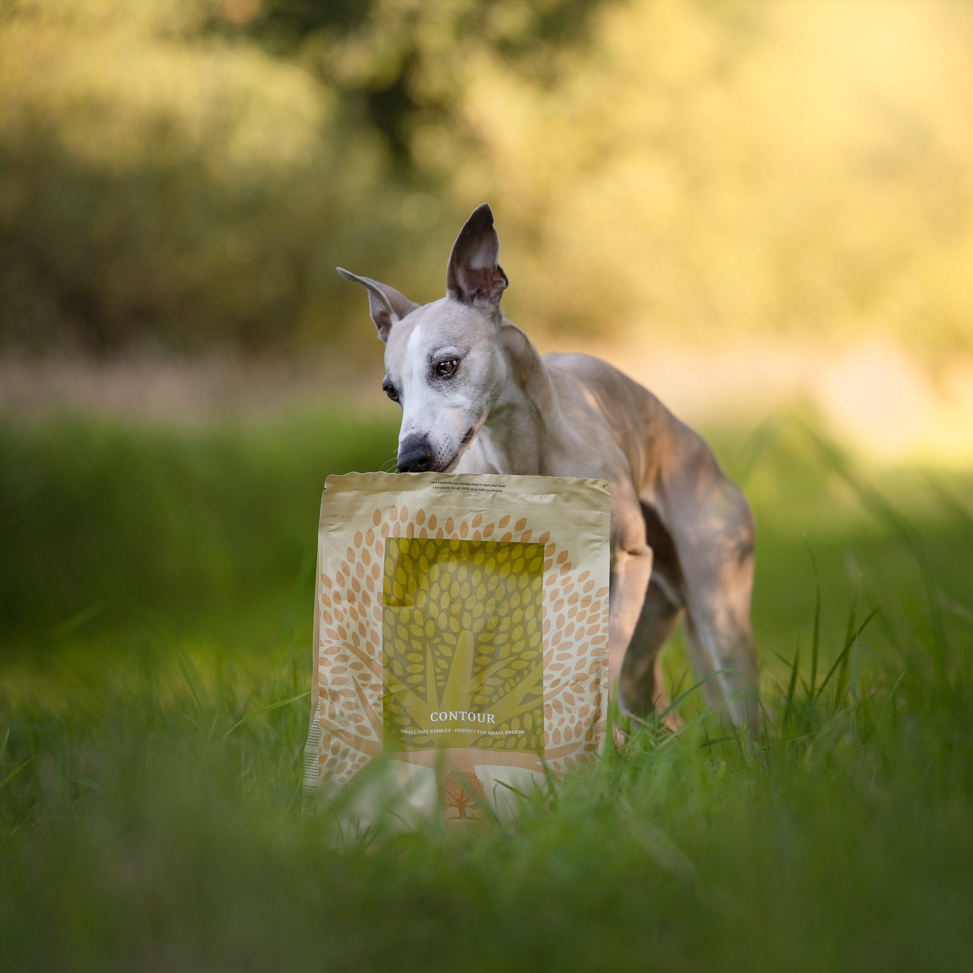 OUR FINEST CONTOUR, 2.5KG