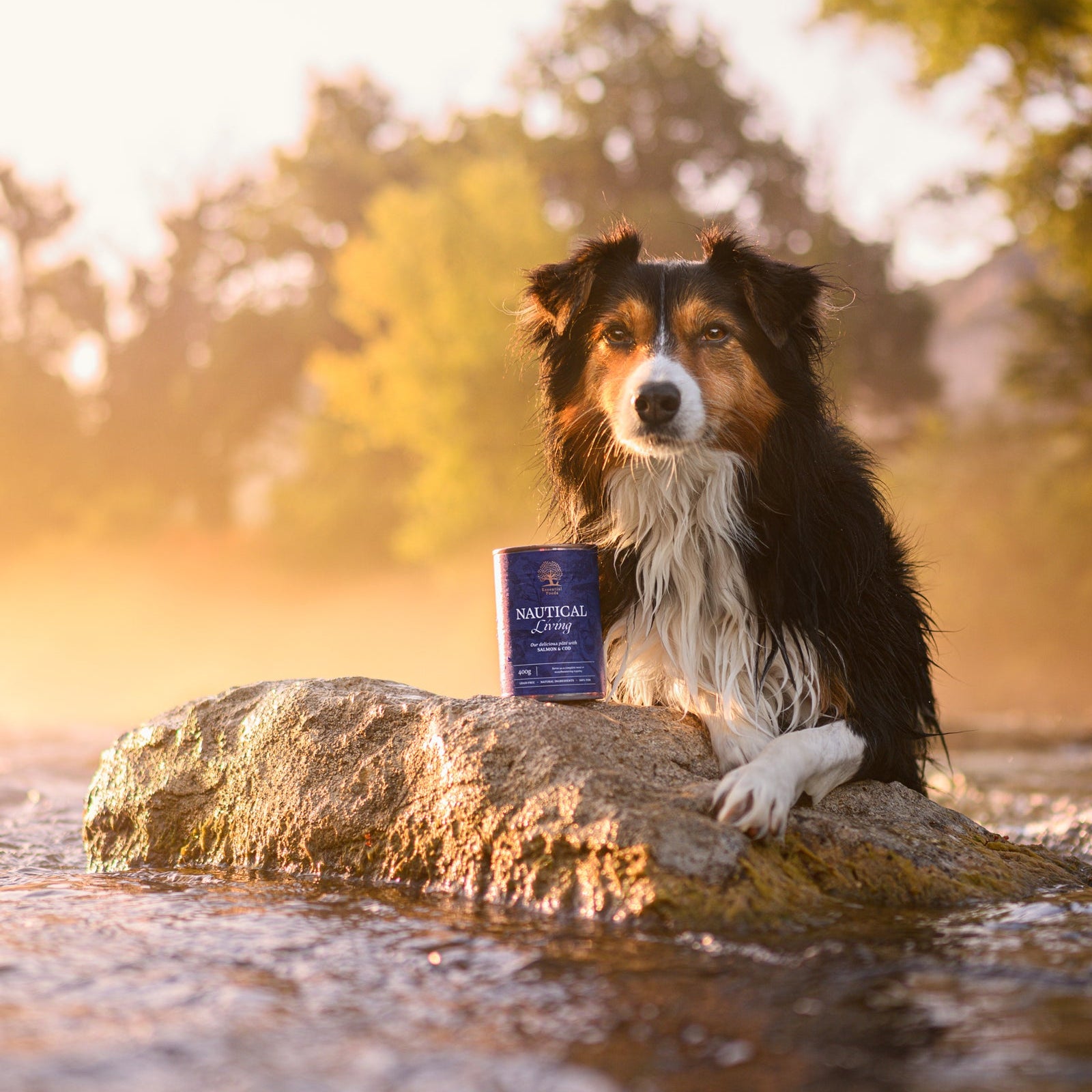 NAUTICAL LIVING PÂTÉ, 400G