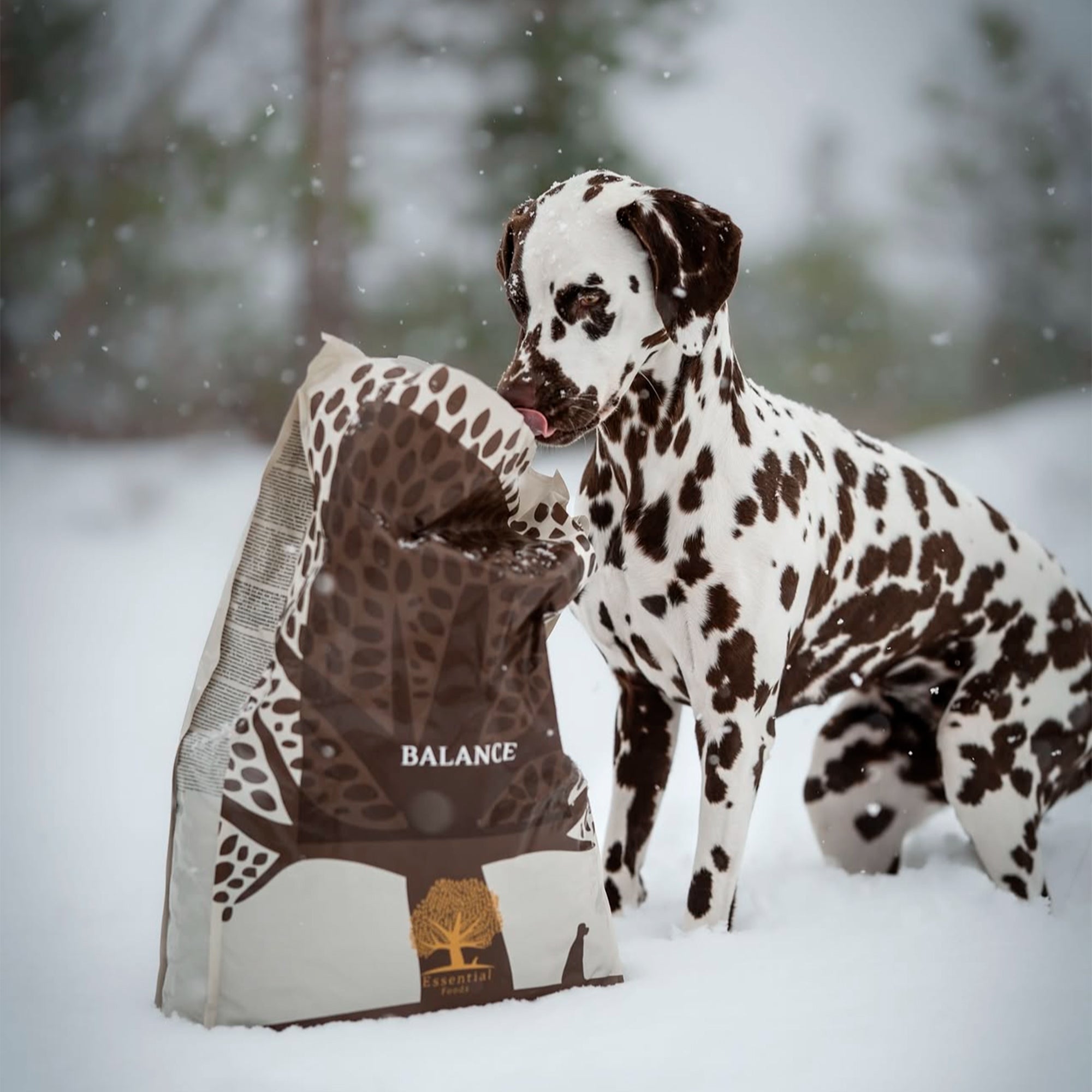 OUR FINEST BALANCE, 10KG x 2