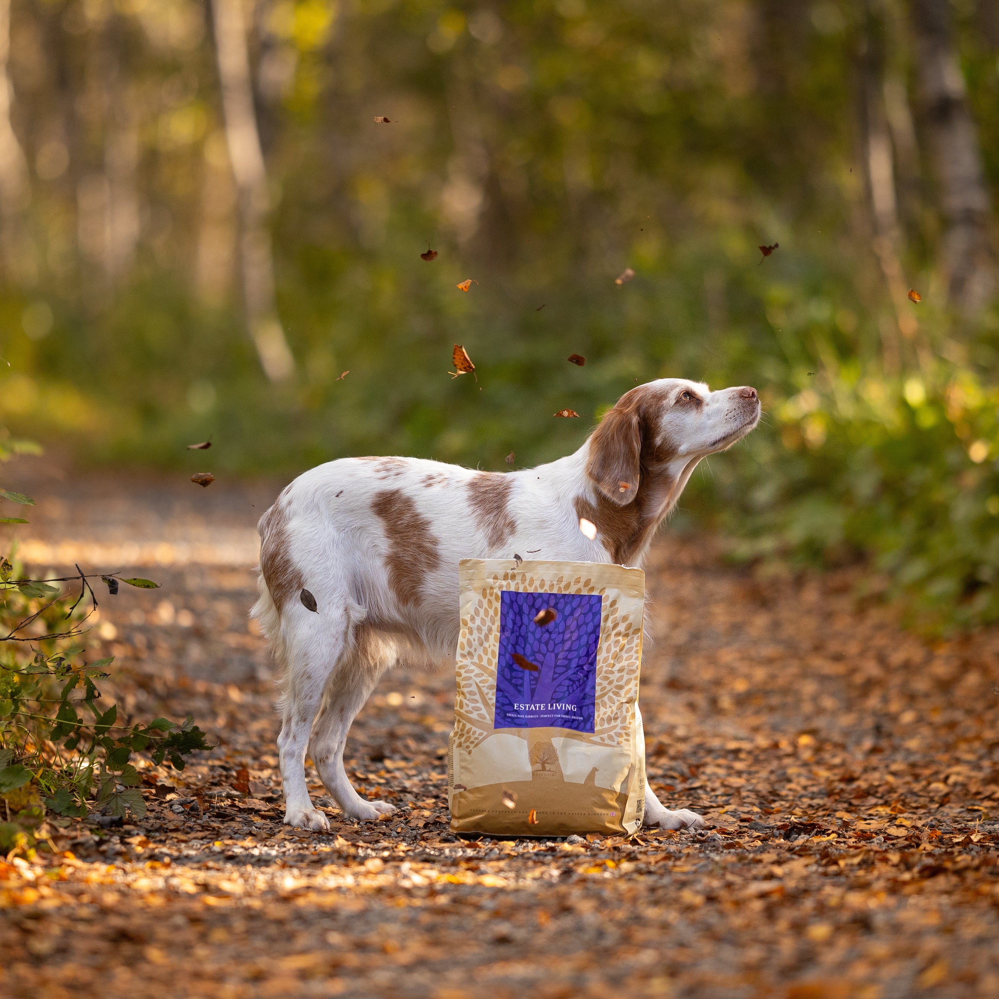 THE COUNTRYSIDE TASTE BOX, 2,5KG x 3
