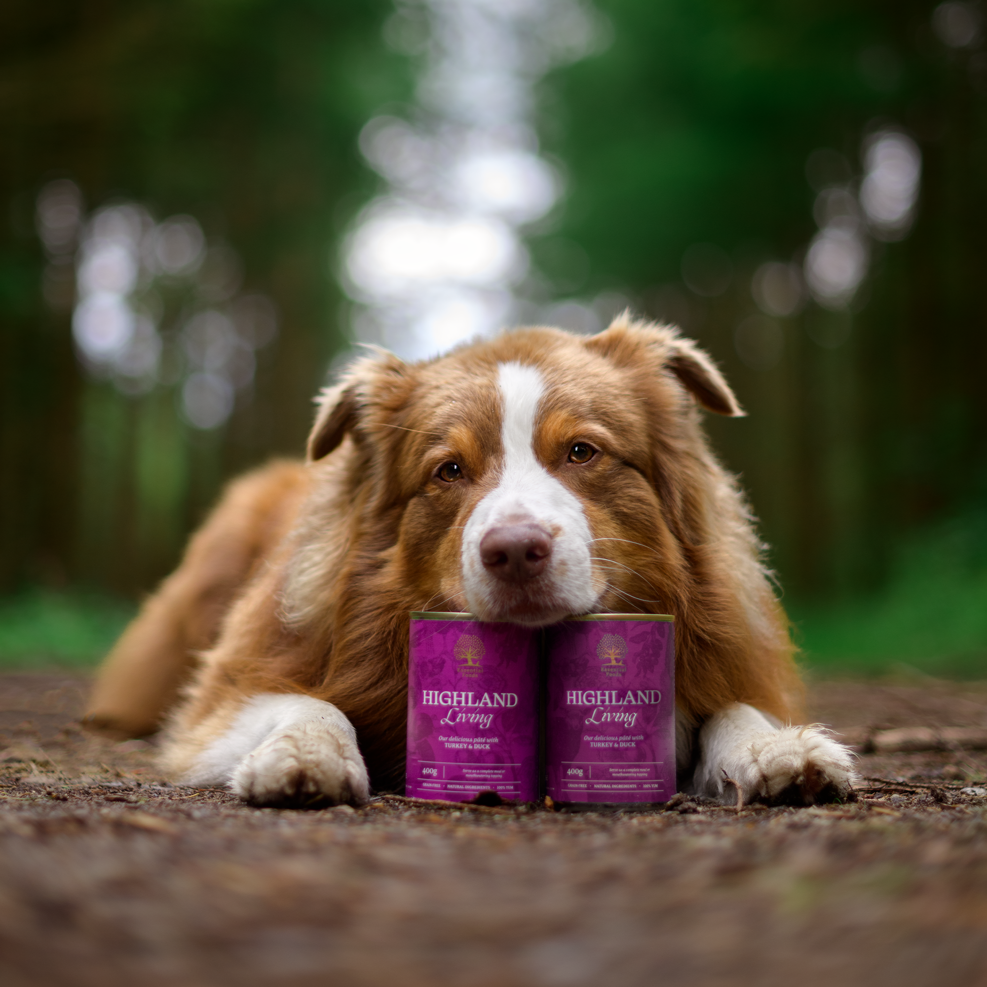 HIGHLAND LIVING PÂTÉ, 400G
