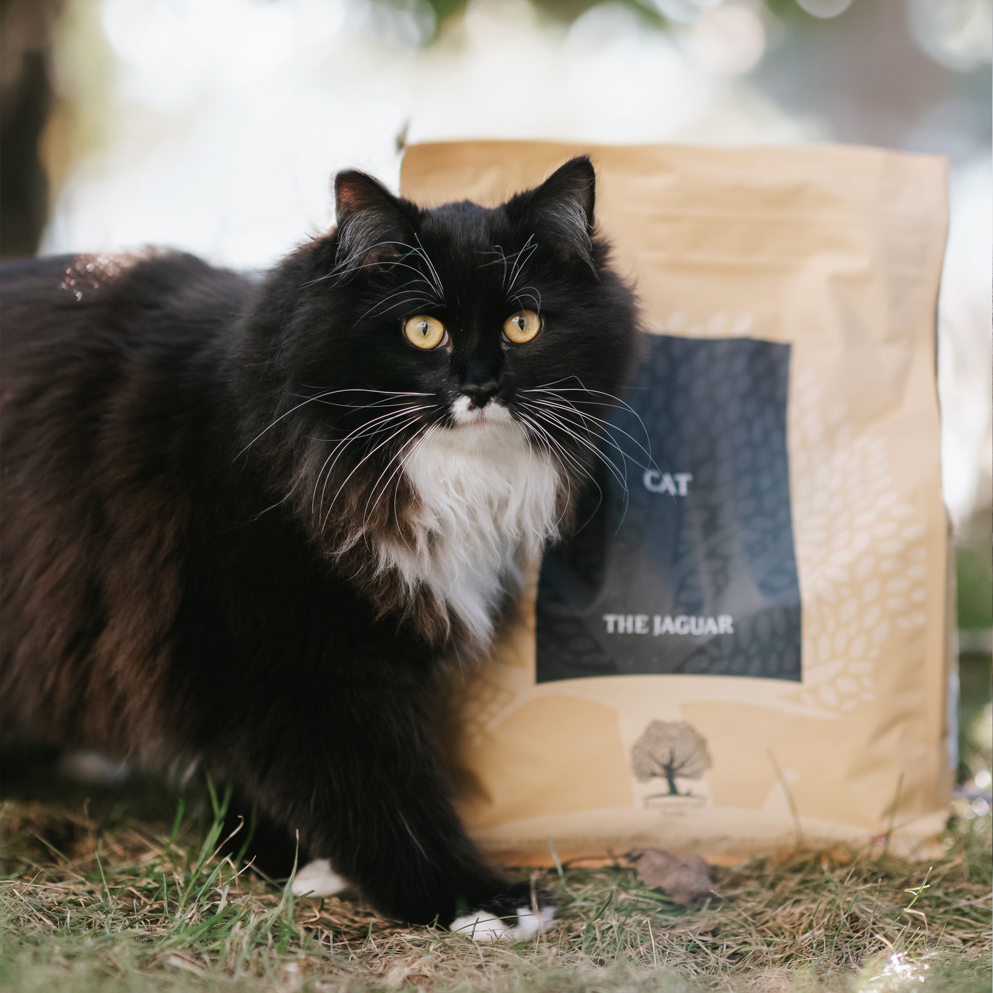 ESSENTIAL the JAGUAR 3kg