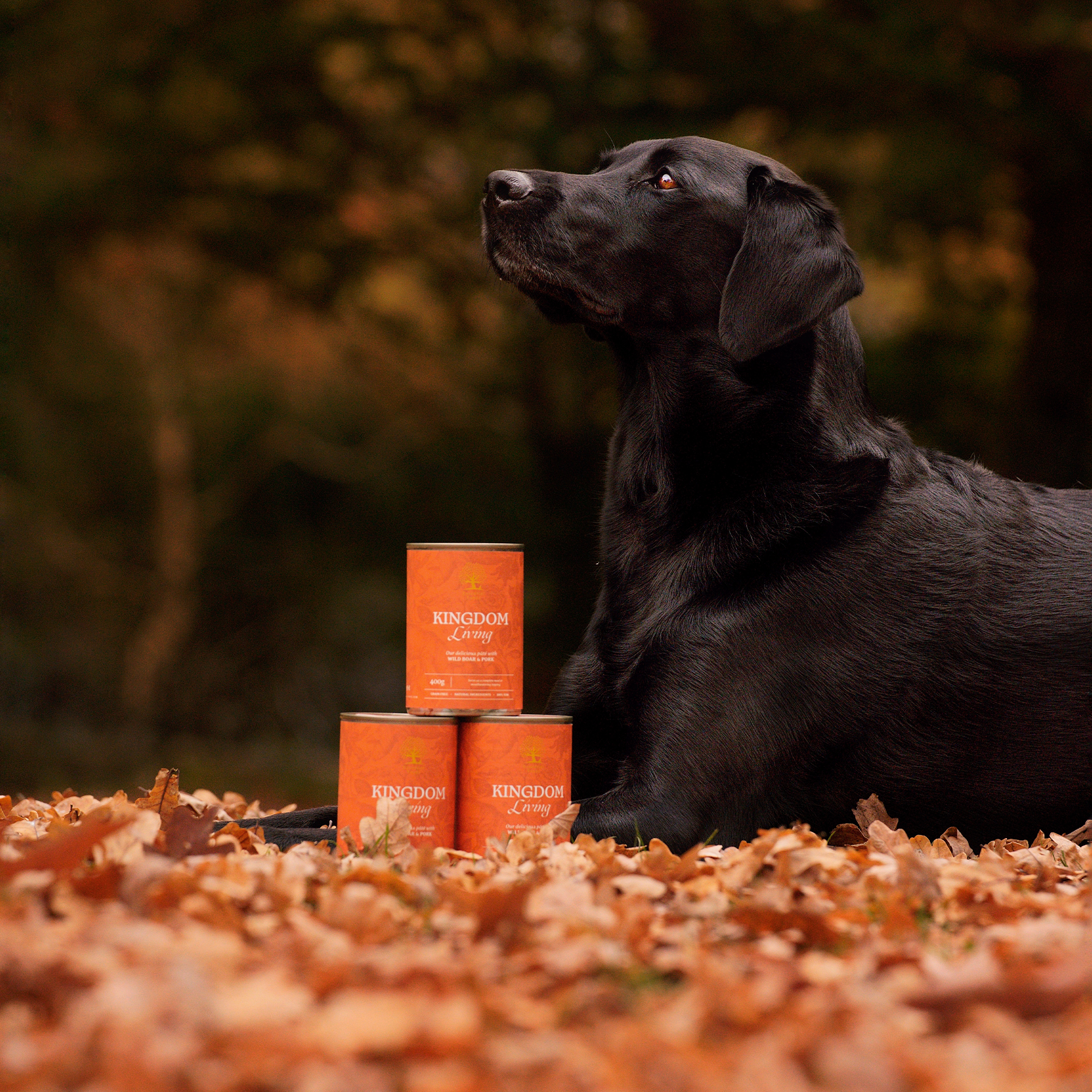 KINGDOM LIVING PÂTÉ, 400G x 6