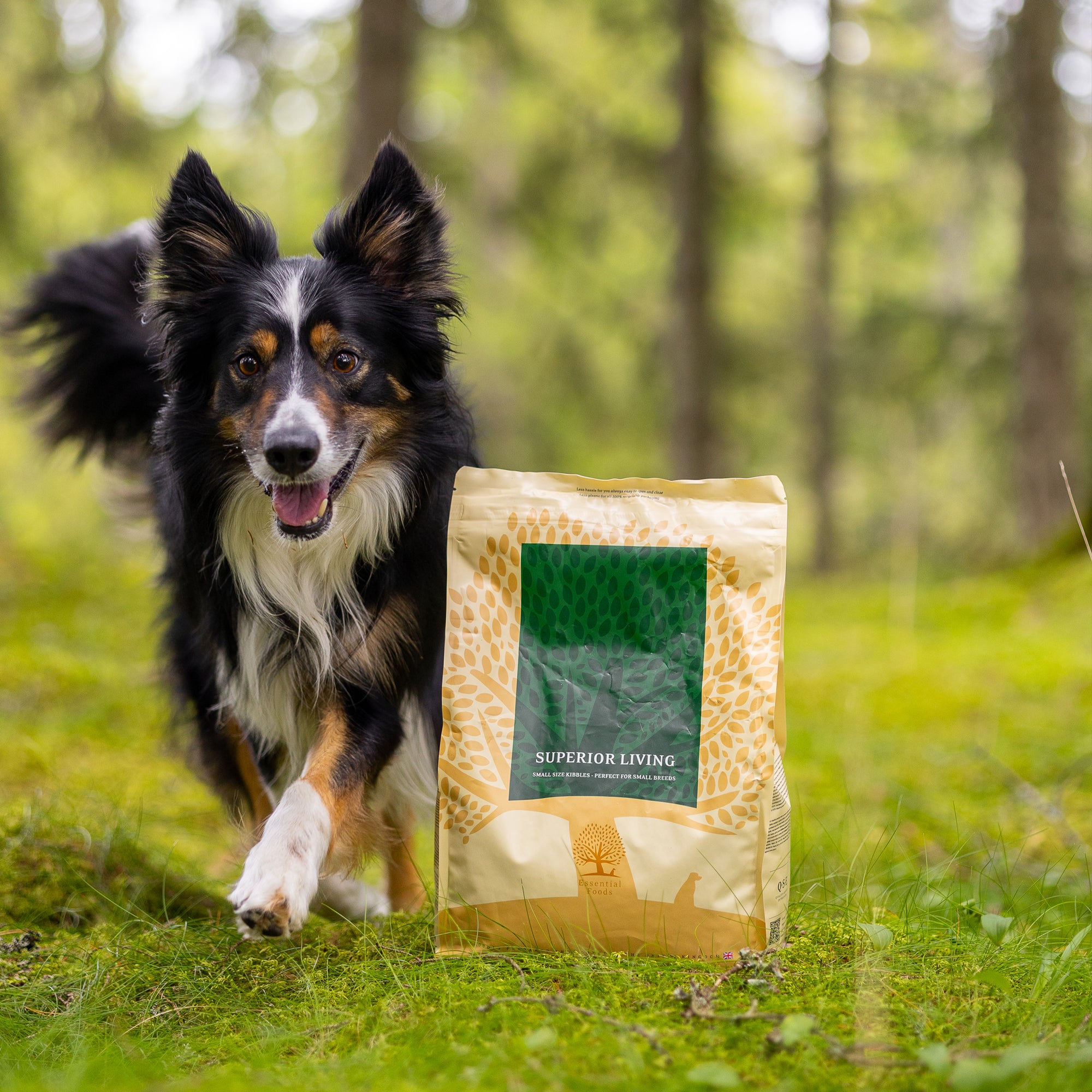 OUR FINEST SUPERIOR LIVING, 2.5KG