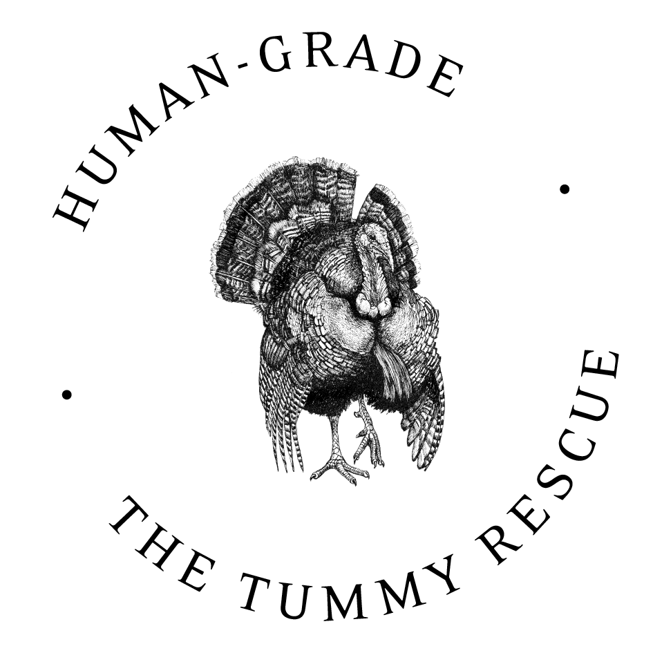 OUR FINEST BALANCE // WORKING DOG