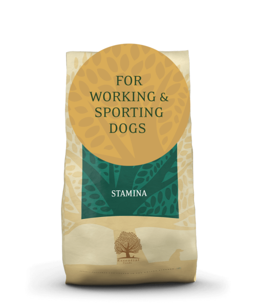 Best sporting hotsell dog food