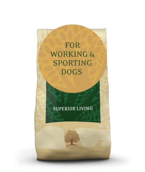 Superior living 2025 dog food